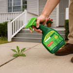 Lifestyle photo of a hand holding and spraying a Weed Hero bottle at a weed growing between concrete pavers near a porch.