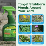 Product and usage graphic showing a Weed Hero bottle beside labeled photos of target weeds like dandelions and clover.