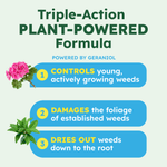 Informational graphic titled 'Triple-Action PLANT-POWERED Formula' with numbered benefits and plant illustrations.