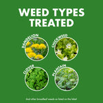 Graphic showing weed types treated with photos and labels for dandelion, chickweed, clover and plantain on green background