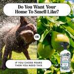 Split image of a wet dog shaking and pears on a tree with a Pet‑Pourri spray bottle and headline asking which scent you want