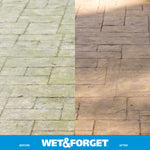 Before-and-after comparison of a paved patio surface: greenish algae-stained left side and clean brown right side