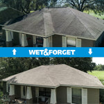Split before-and-after roof photo showing dark stained shingles above and cleaned lighter shingles below with Wet & Forget branding