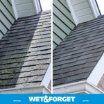 Vertical before-and-after comparison of a house roof eave showing algae and moss on the left and cleaned shingles on the right