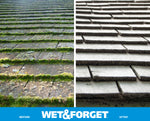 Side-by-side closeup of moss-covered roof shingles on the left and clean shingles on the right with Wet & Forget banner