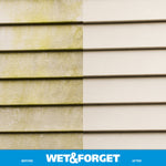 Close split image of vinyl siding with heavy green algae and mildew on the left and the cleaned lighter siding on the right