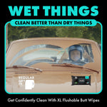 Promotional panel showing a driver giving thumbs up through a windshield with a small DUDE Wipes package and headline 'WET THINGS'