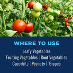 Tomato plants with ripe and unripe fruit above a blue panel that reads 'WHERE TO USE' and lists types of vegetables and crops.
