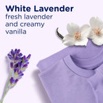 Flat-lay image of lavender sprig, vanilla flower and folded lavender sweater with text “White Lavender fresh lavender and creamy vanilla.”