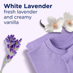Graphic showing white lavender and vanilla flowers with folded lavender shirt and text ‘White Lavender’ scent description