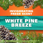 Graphic panel with pine branches and cones and bold text 'White Pine Breeze' promoting an invigorating fresh scent