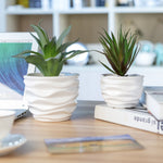 Two white wavy ceramic planters styled on a desk with faux plants, laptop and books blurred in background.