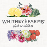 Whitney Farms brand logo artwork with watercolor lemons, flowers and tomatoes and the tagline plant possibilities