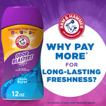 Bright promo image with an Odor Blasters bottle and large text 'Why pay more for long-lasting freshness?' alongside the Arm & Hammer logo.