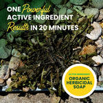 Close-up of a wilted broadleaf weed on gravel with text overlay highlighting one powerful active ingredient and results in 20 minutes.
