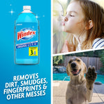 Vertical layout with a Windex Original bottle at left and lifestyle images of a child kissing glass and a dog pawing a window on the right.