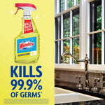 Windex citrus disinfectant spray bottle beside a kitchen sink, bold copy stating kills 99.9% of germs