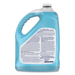 Back view of a blue 1-gallon Windex jug showing the product information panel and molded handle.