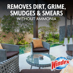 Patio scene with Windex logo and text 'Removes dirt, grime, smudges & smears without ammonia'