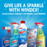 Assortment of Windex products on blue background with headline 'Give life a sparkle with Windex!'