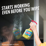 Person spraying a Windex disinfectant spray bottle on glass with text stating it starts working even before you wipe.