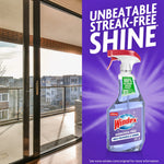 Sliding glass door scene paired with Windex ammonia-free bottle and bold text claiming 'Unbeatable Streak-Free Shine'