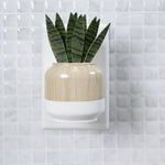 Fragrance plug with wood-grain upper and white base, faux snake plant leaves, shown mounted in a wall outlet against tiled wall