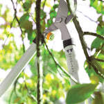 Lifestyle image of Woodland lopper cutting branches among green leaves, showing tool head and branded handle in use