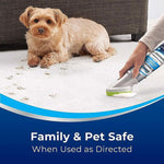 Hand using a Woolite foam cleaner with green brush on a light carpet near a small dog and sofa, family and pet safe claim