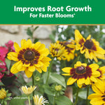 Close-up garden photo of yellow and brown coneflower-like blooms under a green banner claiming improved root growth