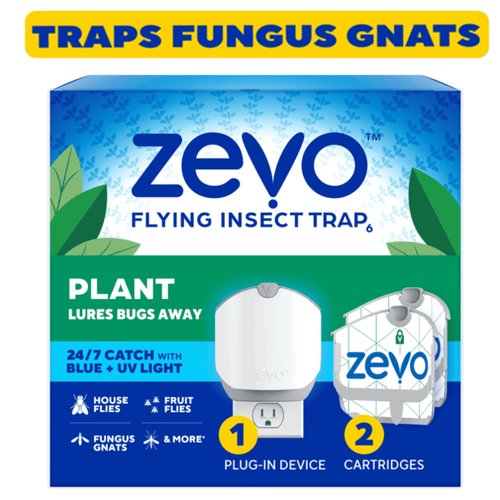 Packaged Zevo Plant flying insect trap box showing plug-in device and refill cartridge with labels