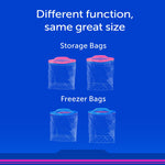 Graphic comparing storage bags and freezer bags with text 'Different function, same great size' and four bag illustrations